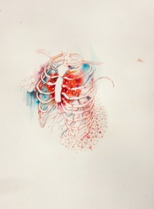 rib
