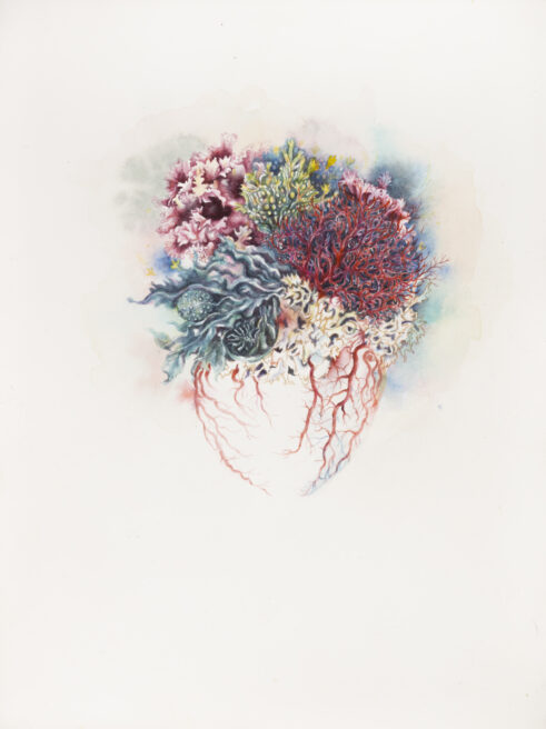 Coral Heart